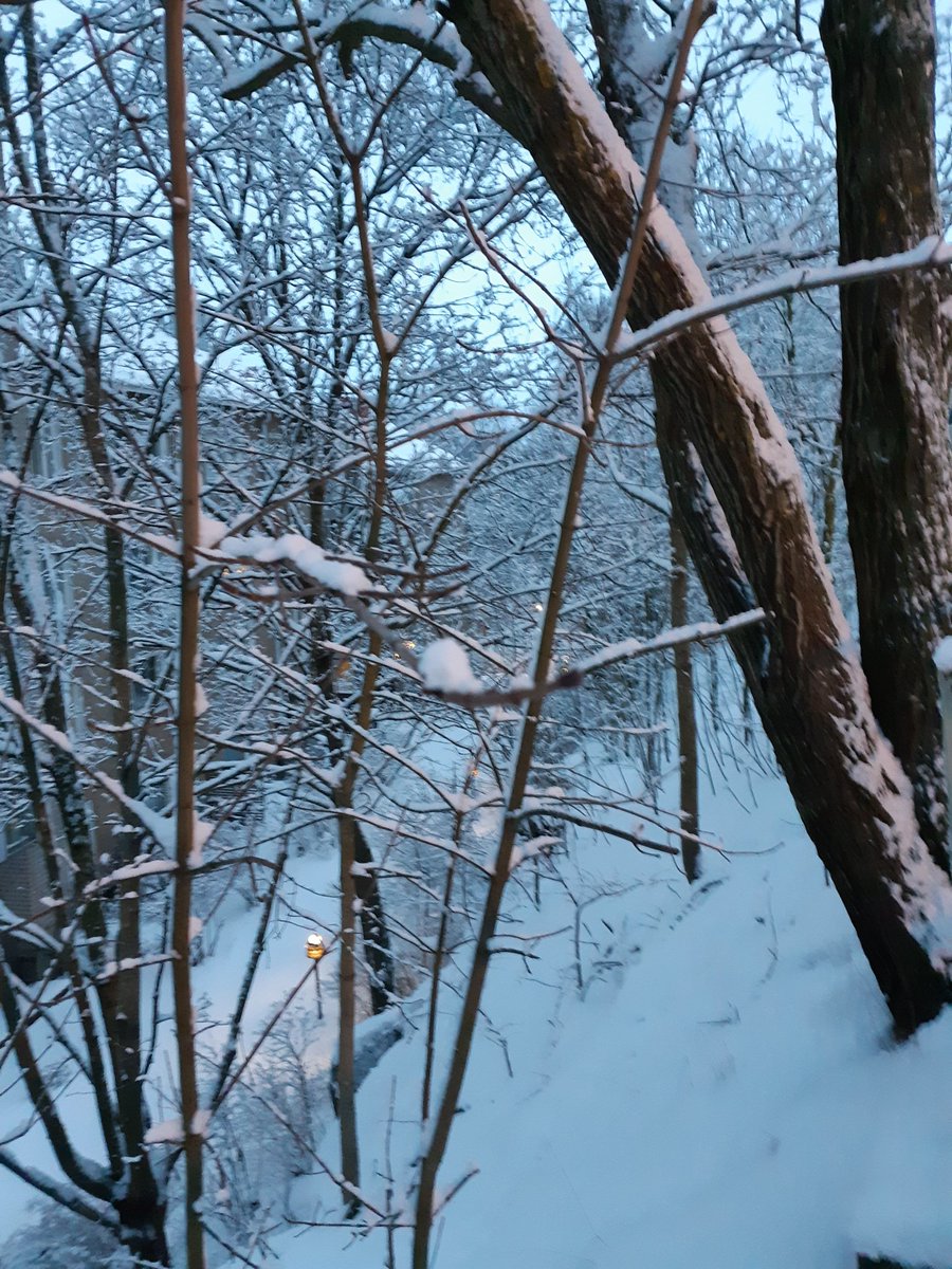 Winter in Helsinki. https://t.co/mvNYzTwfb3
