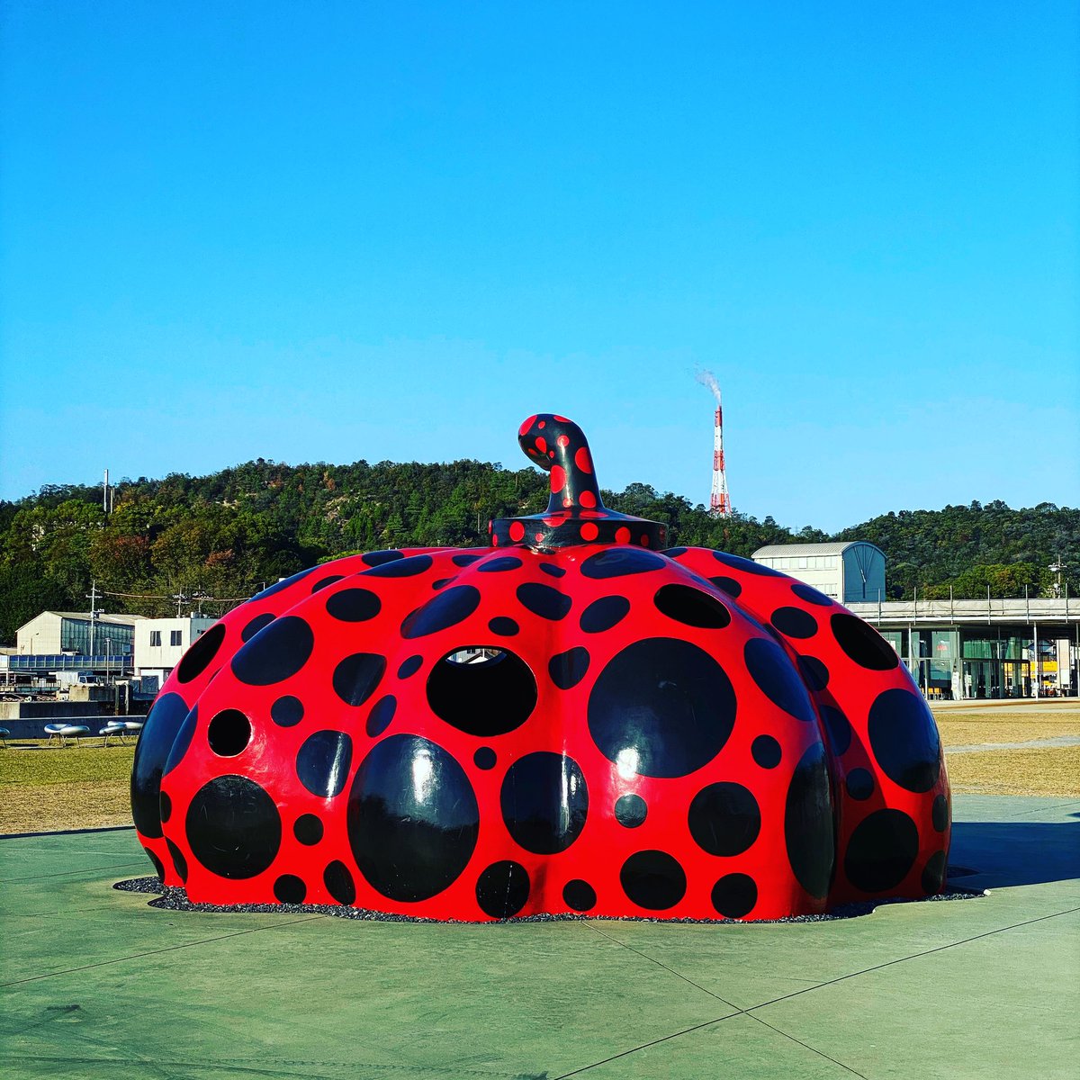 Jimmy_Braun's tweet photo. #naoshima #kagawa #japan #japon #streetphotography #art #picoftheday #photography #setouchi #travel #benessehouse #arthouseproject #直島 https://t.co/REYg9BK9c8