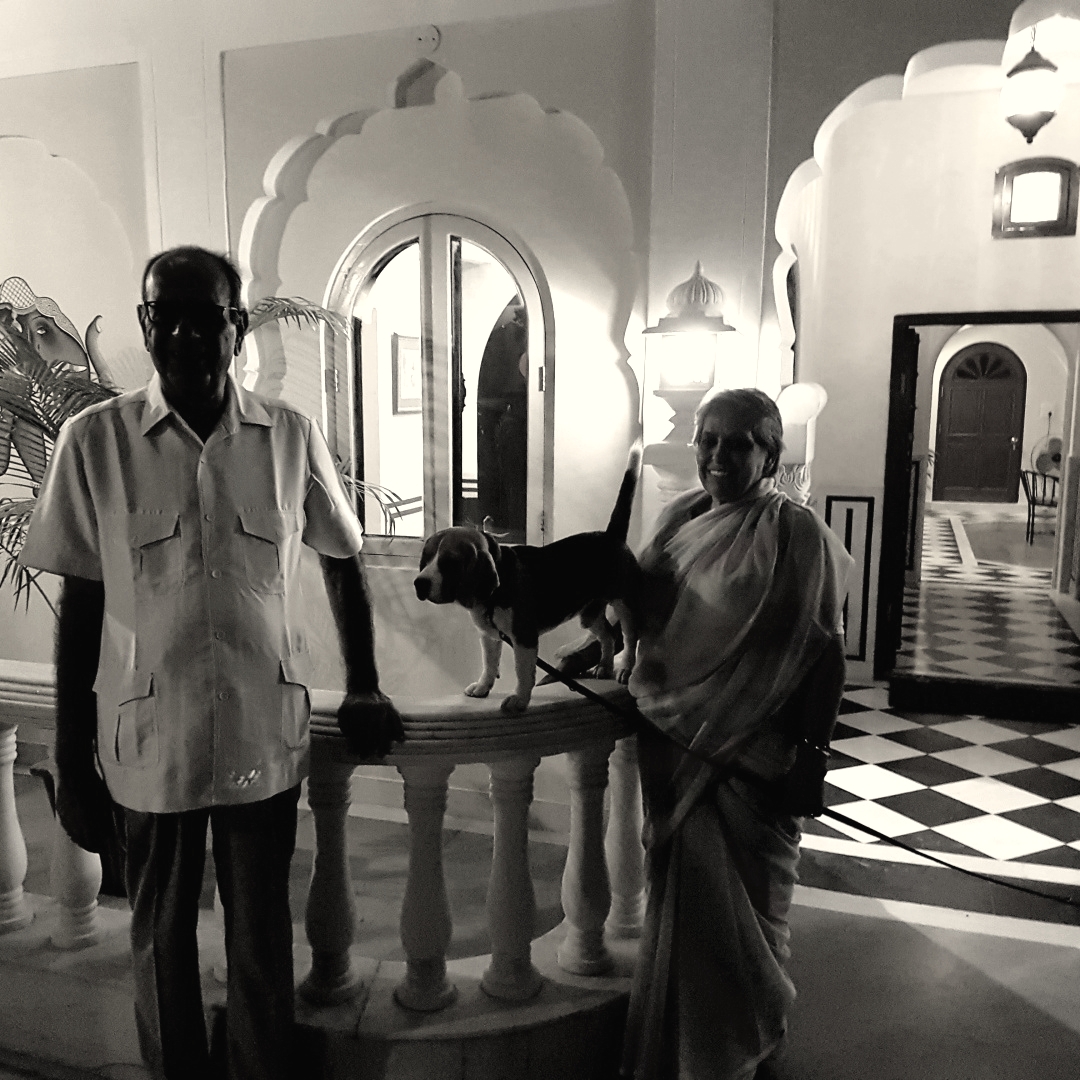 TM_Steve_P's tweet photo. I'm really enjoying watching the Real Marigold Hotel again on the BBC. I have had the pleasure of taking several groups to visit the Khatu Haveli in Jaipur &amp; can't wait to get back to Jaipur again! 

#traveltribe #travelblogger #jaipurcity #khatuhaveli #greatrailjourneys https://t.co/Rcntg6oE8x
