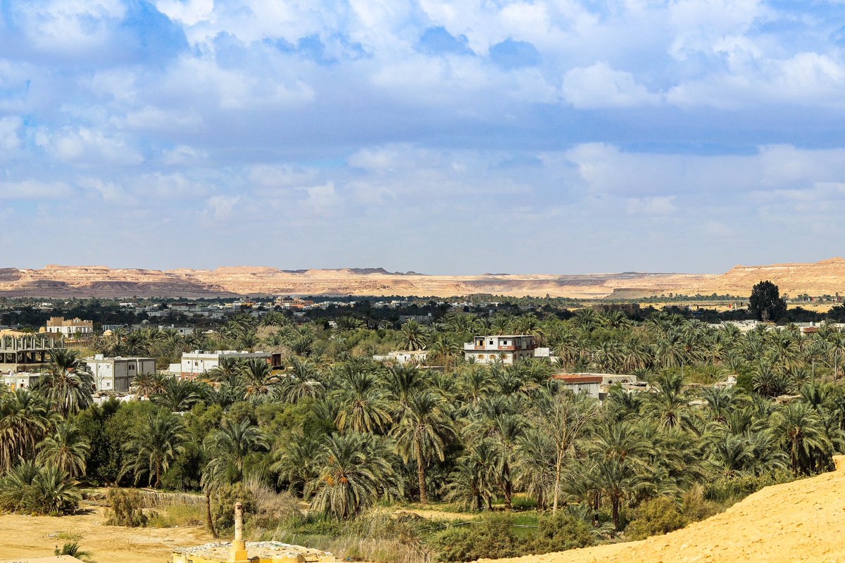 HusseinAshraf11's tweet photo. Separate 🌫️
#Evoto 146
#Photography #Photographer #Sky #Winter #Egypt #Siwa #Blue #Green #Nature #Treea #Clouds ✨❤️ https://t.co/oVPmsFSIpE