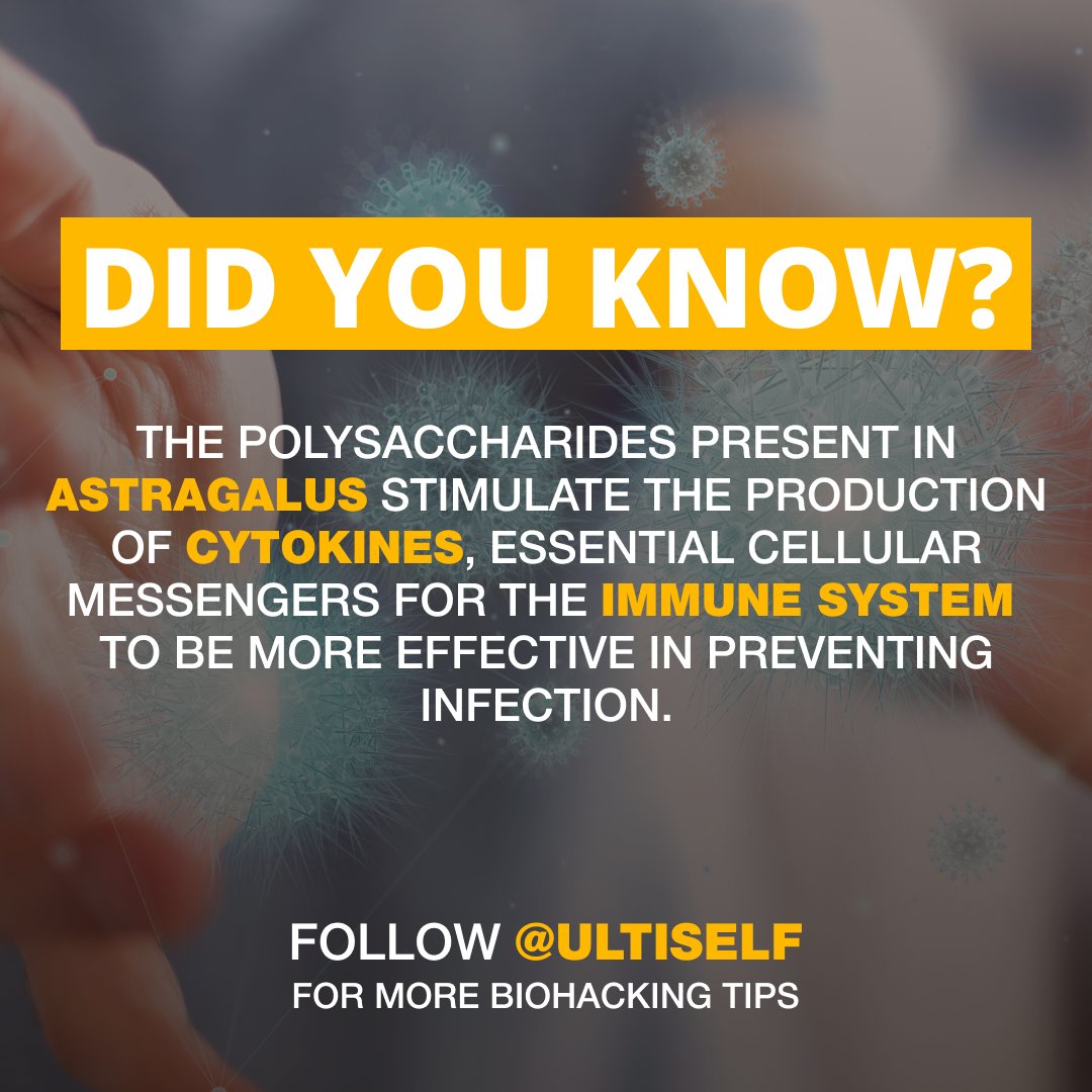 ultiself's tweet photo. #Astragalus is known to strengthen the basic functions of the immune system. In addition to #polysaccharides, it contains #saponins and #flavonoids, components that help modulate the functions of your defense system. 

#ImmuneSystem #immunesupport https://t.co/qb4JNE11F3
