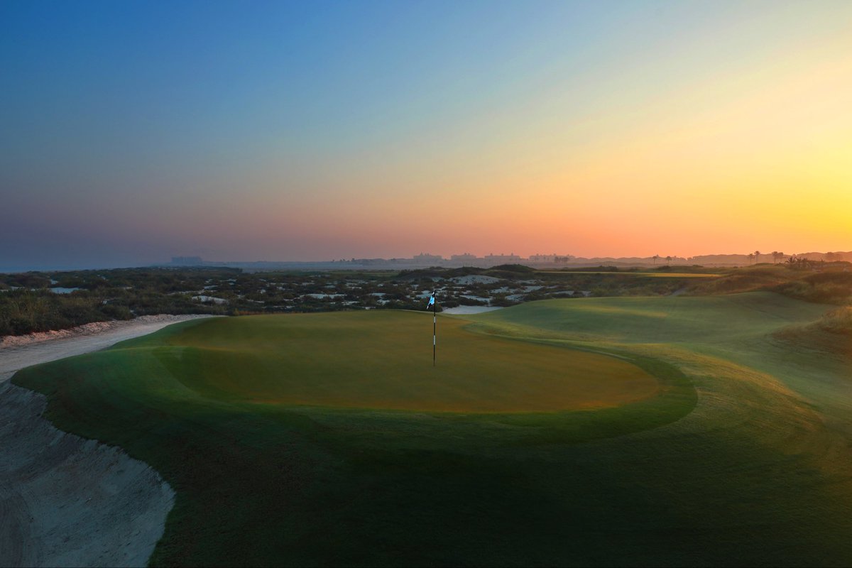 After many years it was a great to see  a native variety “Costanche tubulosa”  plant <a href="/SaadiyatBeachGC/">Saadiyat Beach Golf Club</a> . The fist visual for some time ✅ <a href="/troonint/">Troon International</a> <a href="/AudubonIntl/">Audubon Int'l</a>  <a href="/biolobrie/">BrianneKenny</a>