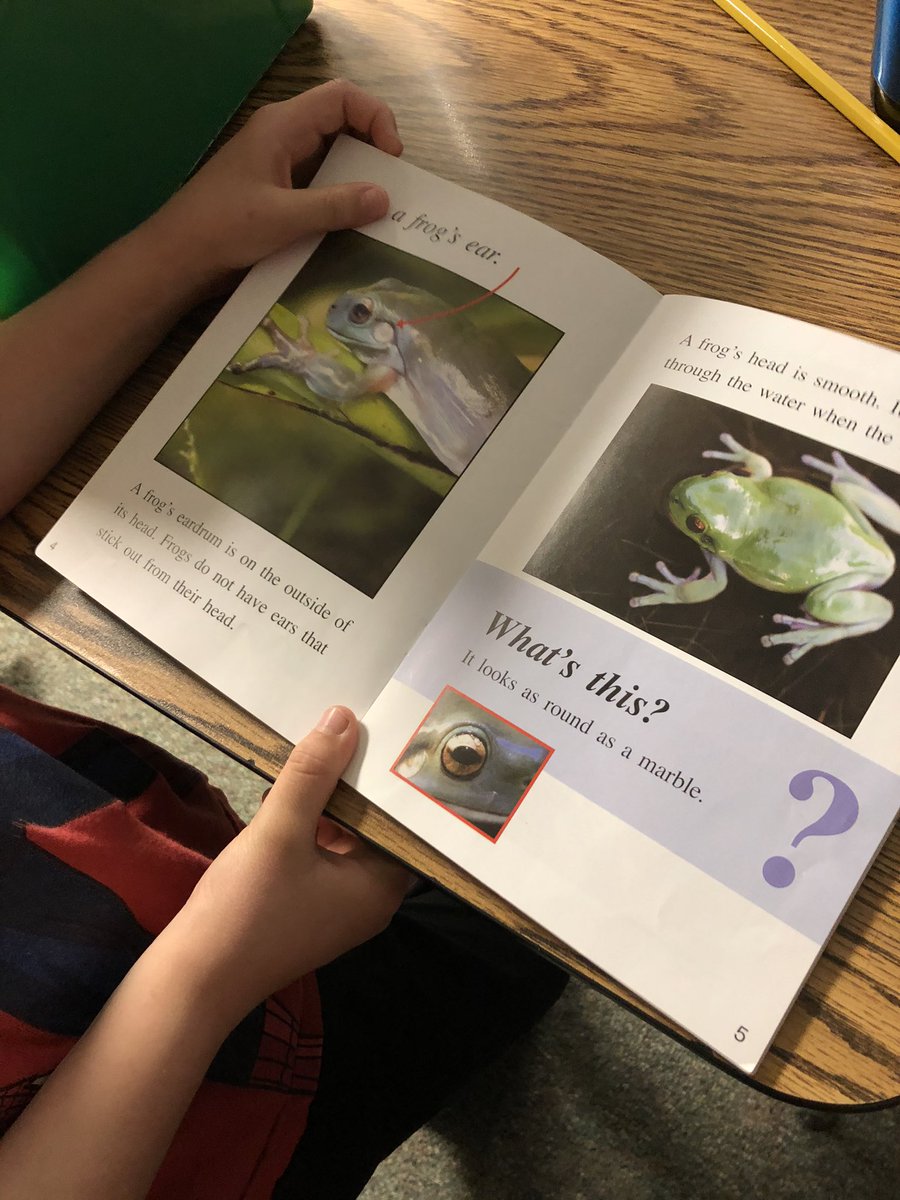 @MsLaurynPeltier ‘s friends are unlocking keywords in their non fiction books! ❤️📖 <a href="/FSESFriendship/">Friendship Elementary</a>