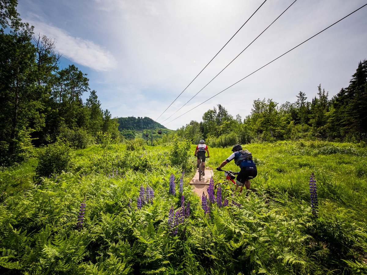 Mondays mean a fesh start and a new week! Share your favorite morning routine or what you do to start your week off on the right foot ☀️ #MotivationMonday
