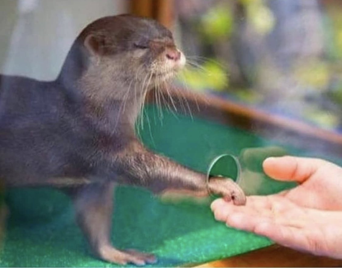 When you want to be social but also keep your boundaries