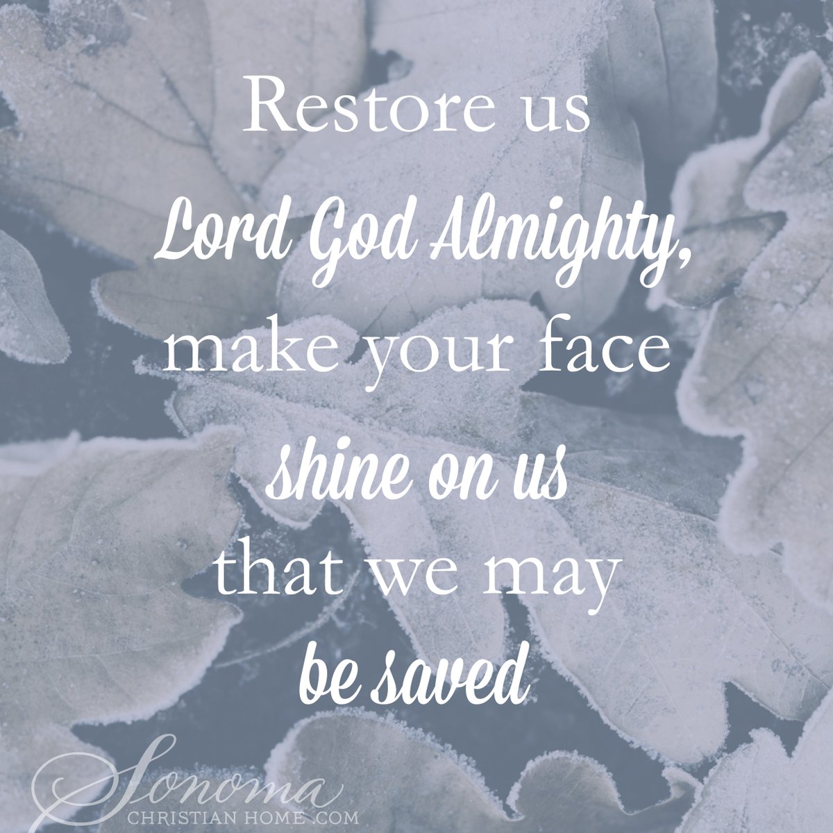 SonomaChristian's tweet photo. Restore us, LORD God Almighty; make your face shine on us, that we may be saved. - Psalm 80:19
Visit Us for Daily Encouragement - https://t.co/F7s4xe7g1K
#SonomaChristianHome #GodAlmighty #HeIsHoly #Jesus #Faith https://t.co/gOJ1htxKxZ