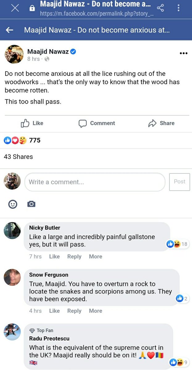 This is v serious. Isn't this what radicalisation looks like? Replies to the message about the infestation include "uncovering the snakes and scorpions among us", an Insurrection Act being passed, something "Biblical" happening in days. Heightened anxiety & excitement