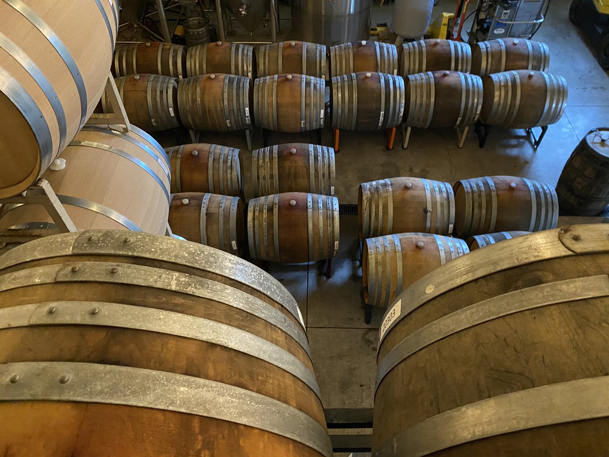 Pulling Kriek out of barrels! This legendary cherry beer has a special ingredient added for our winter release!