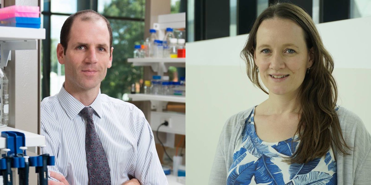 Stem Cell Foundation (@ausstemcell) on Twitter photo ✯Mystery proteins reveal how embryos & cancers grow: Melanie Eckersley-Maslin @meleckmas <a href="/PeterMacCC/">Peter Mac Cancer Centre</a> <a href="/PeterMacRes/">Peter Mac Research</a>
✯Genes may hold key to leukaemia survival: Steven Lane <a href="/StevenLane_QIMR/">Steve Lane</a> @QIMRBerghofer
Congratulations to our 2020 #MetcalfPrize winners: stemcellfoundation.net.au ✯Mystery proteins reveal how embryos & cancers grow: Melanie Eckersley-Maslin @meleckmas <a href="/PeterMacCC/">Peter Mac Cancer Centre</a> <a href="/PeterMacRes/">Peter Mac Research</a>
✯Genes may hold key to leukaemia survival: Steven Lane <a href="/StevenLane_QIMR/">Steve Lane</a> @QIMRBerghofer
Congratulations to our 2020 #MetcalfPrize winners: stemcellfoundation.net.au