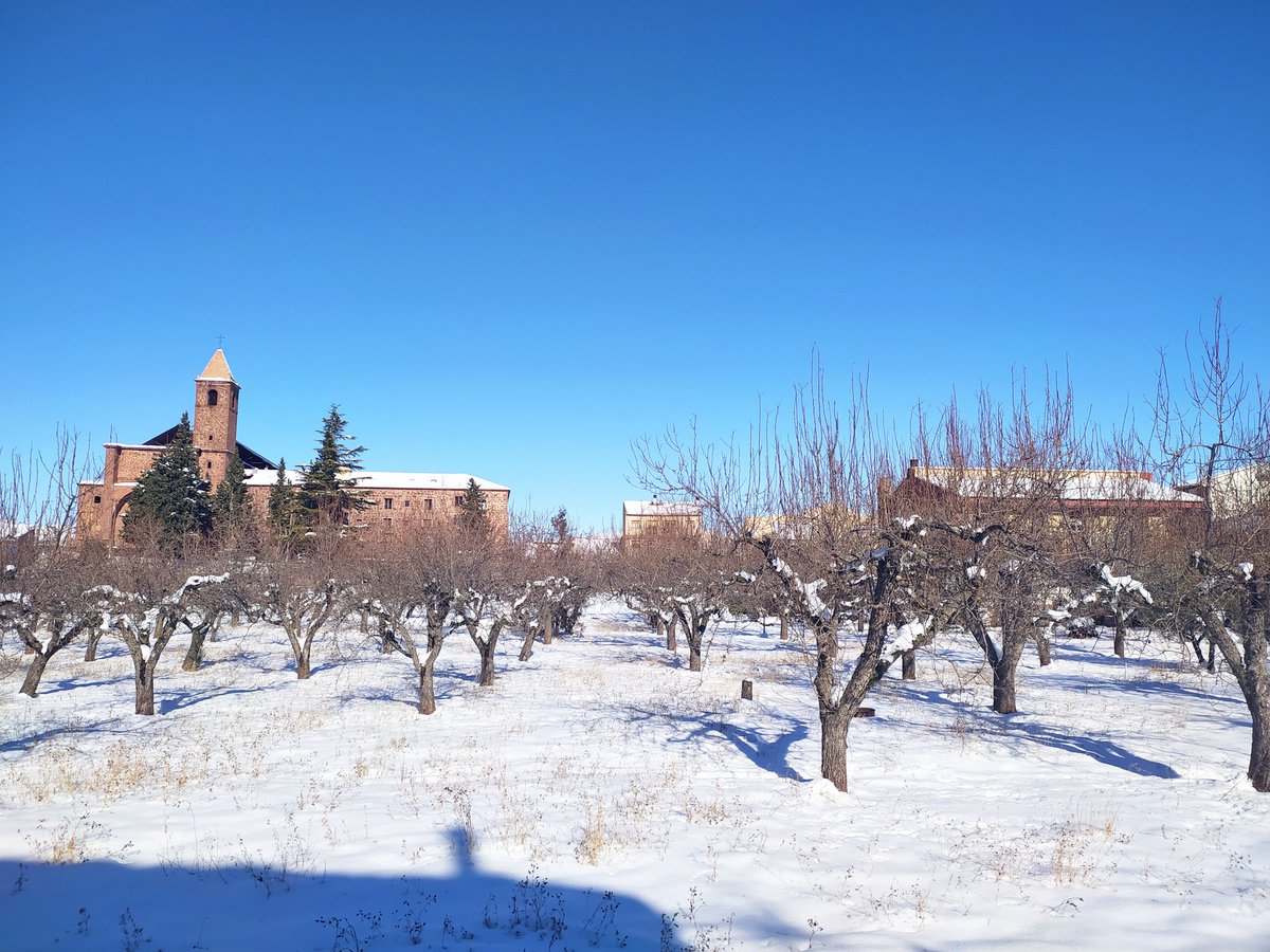 mariagotor_'s tweet photo. Gotor (Zaragoza) Sábado, Domingo y Lunes #AAFilomena @aragontv https://t.co/uug5CPoGuF