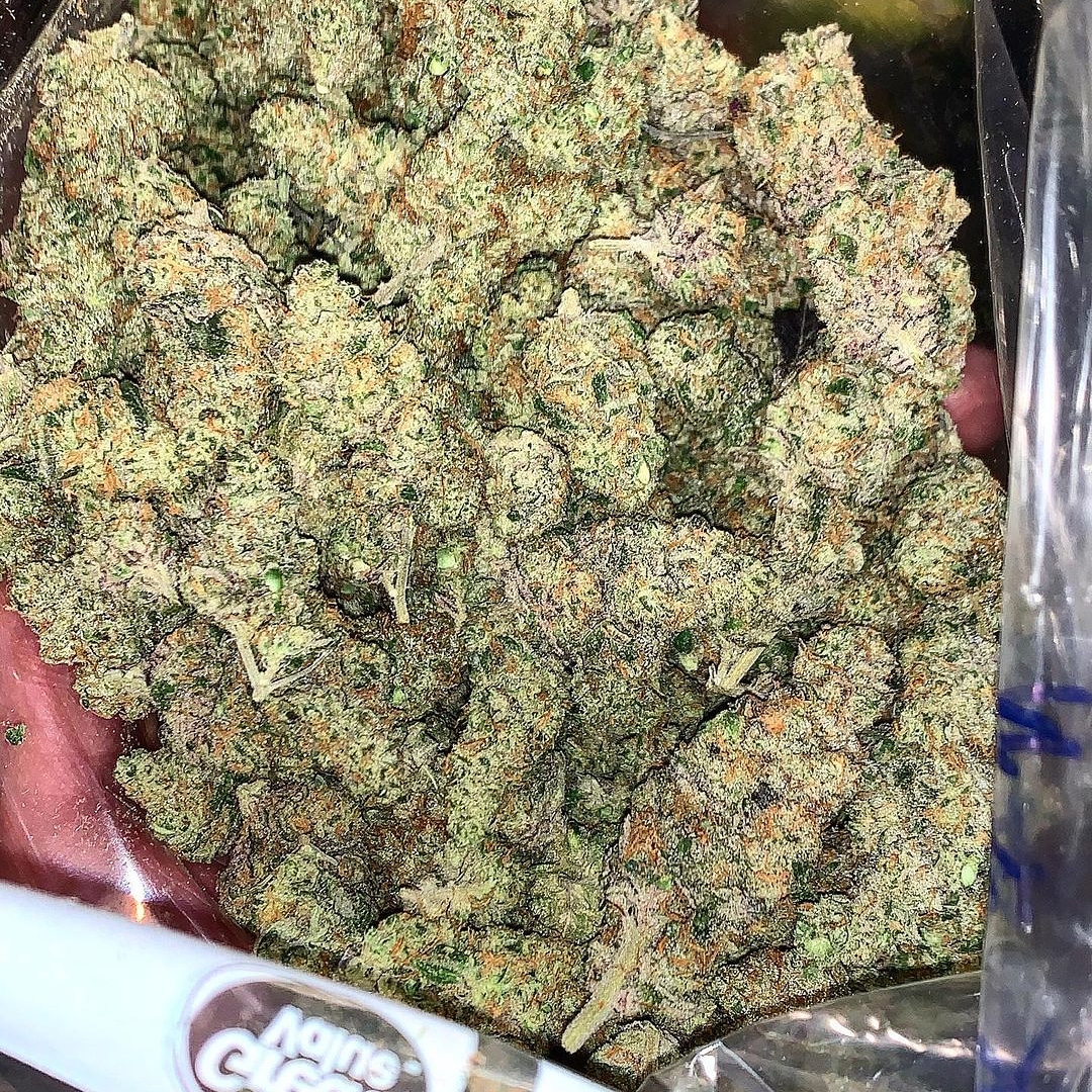 HighforN's tweet image. Nuff boi scramble  for the top grades like a #eggyolk 
(Plantinum mochi x Orange Flambé) 
#highgradespecialist #cannabis #goodherbs #fyah #colorado #growyourown #keepyourgradeup