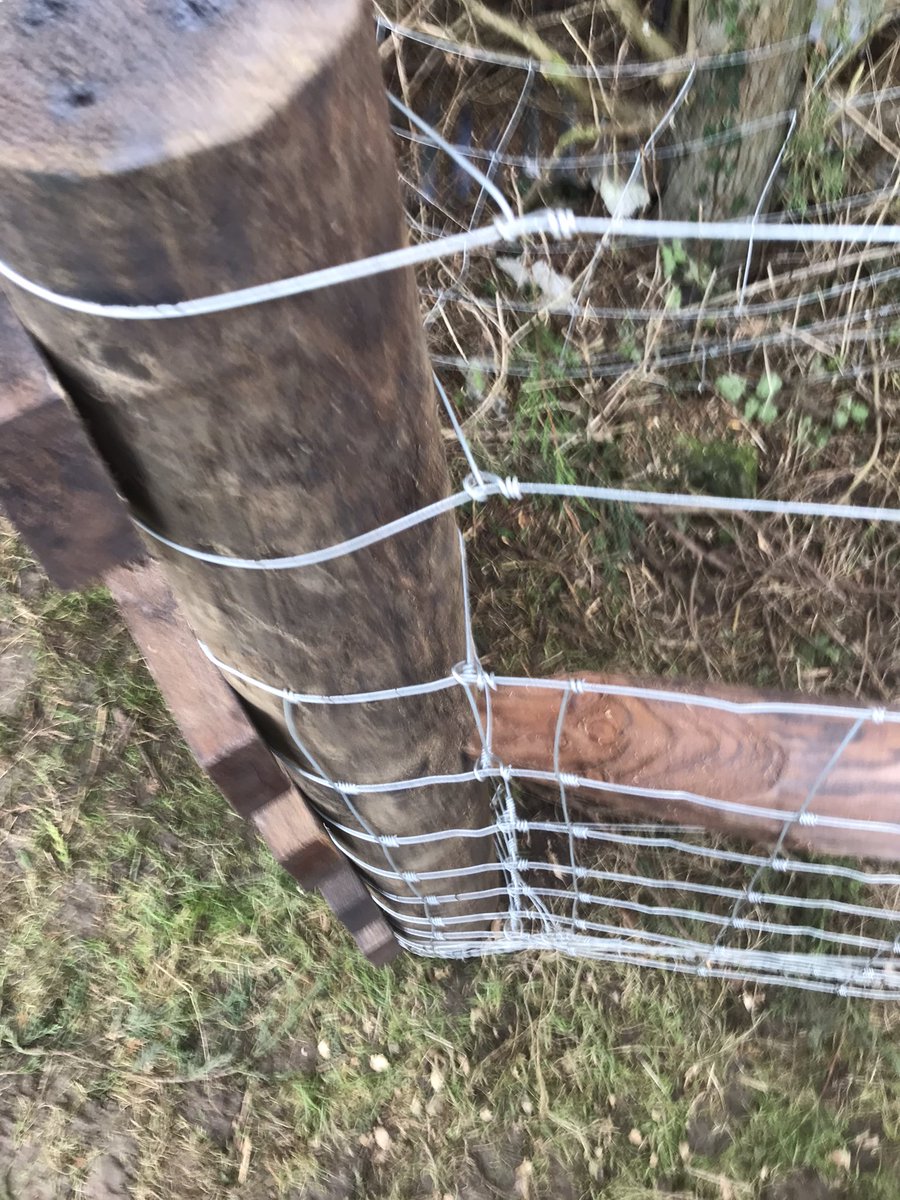 JamesWTMurray's tweet photo. First one of the year. Perimeter stock fence for a local rare breeds farm. #stockfence #creosote https://t.co/eRhBtVhxxD