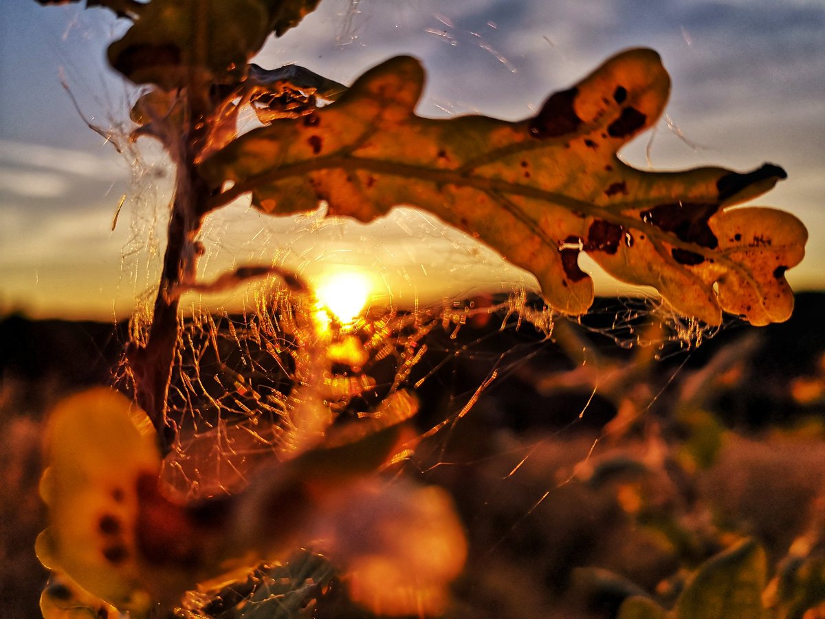 I'm bored, let's make a happy thread, share your best sunset pics. 