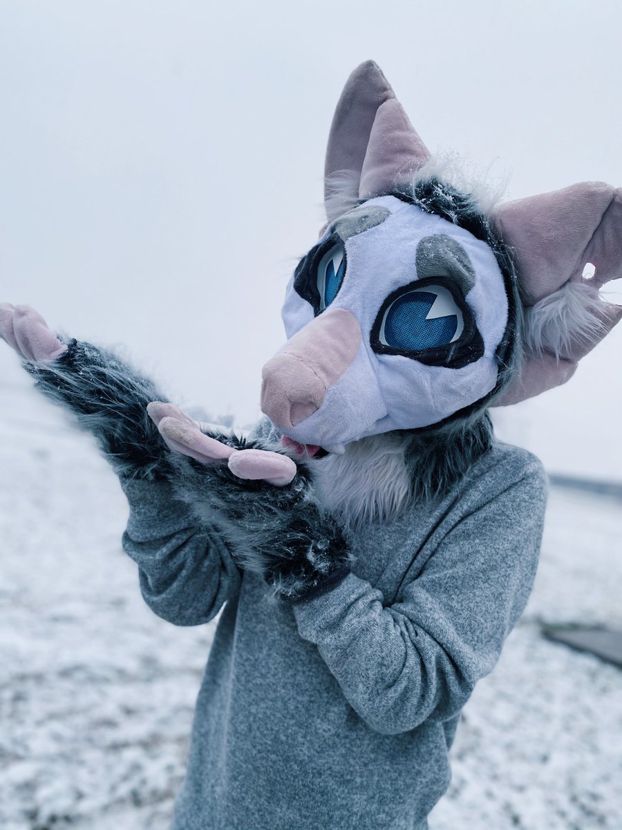 alpine D (alpine_exe) Twitter