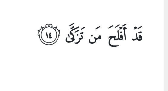 2/The earliest candidate appears in the early Meccan verses. The name is tazakkī, or righteousness (تزكي). The word is used in three senses in the Quran one of which seems to amount to some sort of moral-spiritual conversion (as M Watt observed).