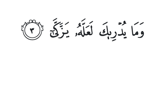 2/The earliest candidate appears in the early Meccan verses. The name is tazakkī, or righteousness (تزكي). The word is used in three senses in the Quran one of which seems to amount to some sort of moral-spiritual conversion (as M Watt observed).