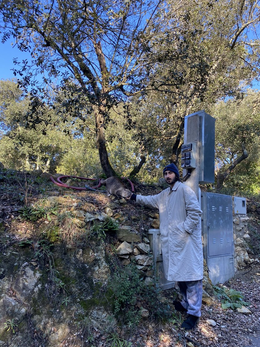 Wake up, put on hat jacket combo, take a walk, take a photo with animal, post. Wake up, put on hat jacket combo, take a walk, take a photo with animal, post. Wake up, put on hat jacket combo, take a walk, take a photo with animal, post - Is this a 💁🏻‍♂️🦋 music career