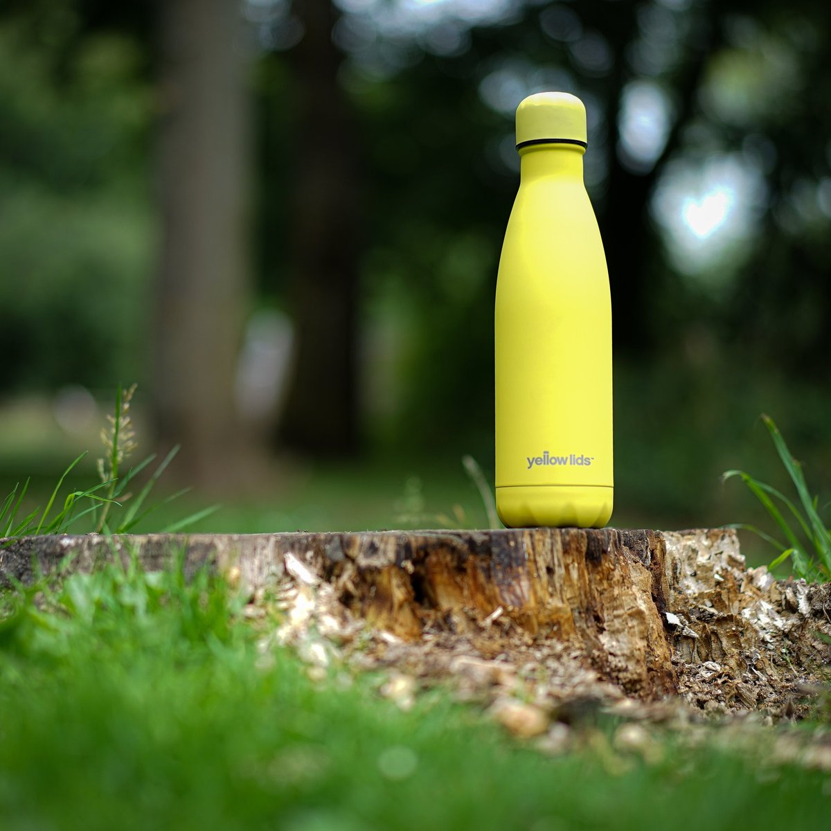 yellowlids's tweet photo. Happy Monday Yellow Liders! Nothing like a bit of yellow to brighten up your day 💛

Get some in your life at https://t.co/VLlkvQgEjD 

#yellowlids #projectyellowlids #rejectsingleuseplastic #hydrate #stayhydrated #mondaythoughts #freelife #support #nature #NaturePhotography https://t.co/If7LZ53vCa