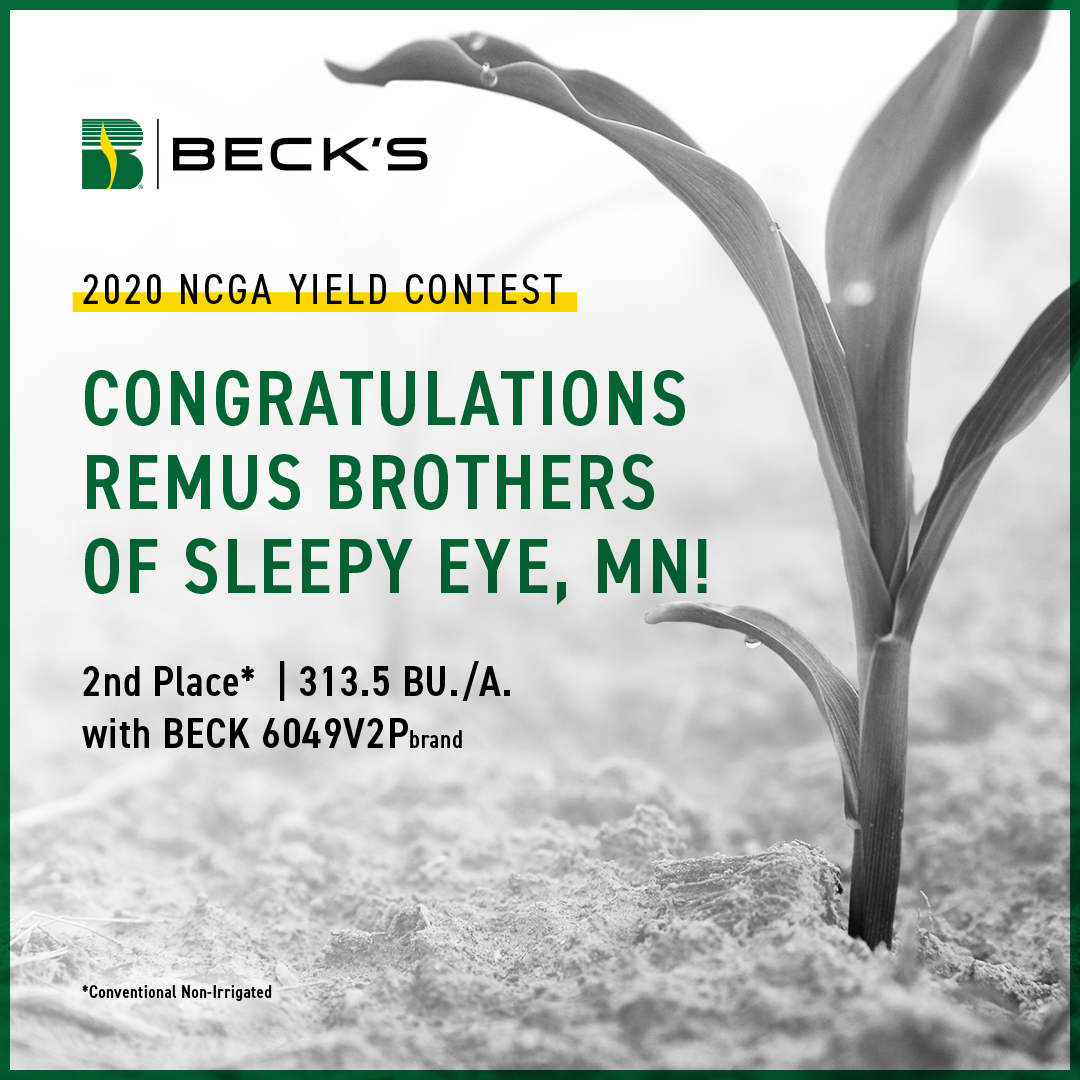 BecksHybrids's tweet photo. Extra! Extra! Read all about it! 📣

Remus Brothers of Sleepy Eye, MN took second place in the National Corn Growers Association Yield Contest! 

They yielded an impressive313.5 Bu./A. with BECK 6049V2Pbrand corn in the Conventional Non-Irrigated class!

#TheSignsofYield https://t.co/F8wlzpEwhs