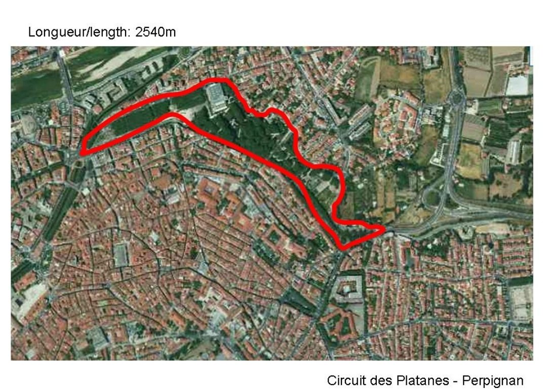 The 1947 Roussillon Grand Prixwas held on the 8th of May 1947. The track was 2.538km long and they raced over 58 laps (147.204 km). In the first few laps there was a four car accident with no one injured. The polesitter Raymond Sommer retired in the lead 14 laps before the end.