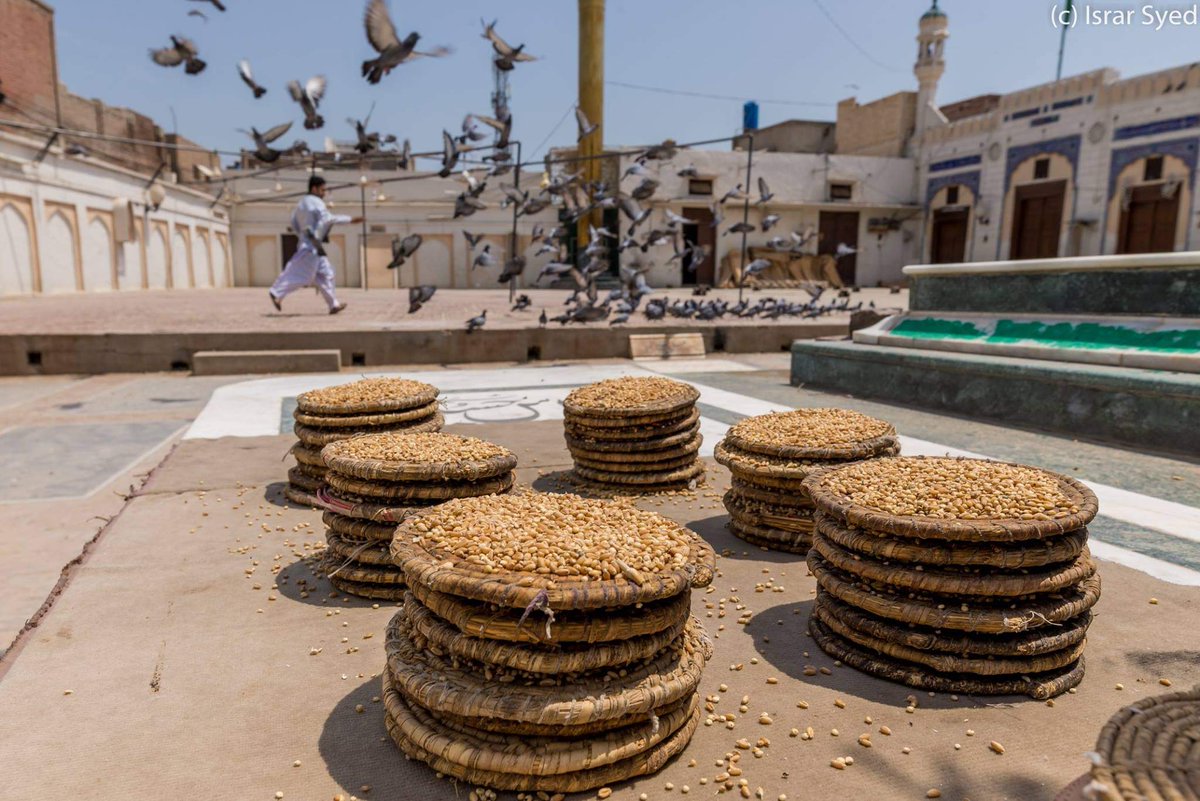 Syed Israr Haider tweet media