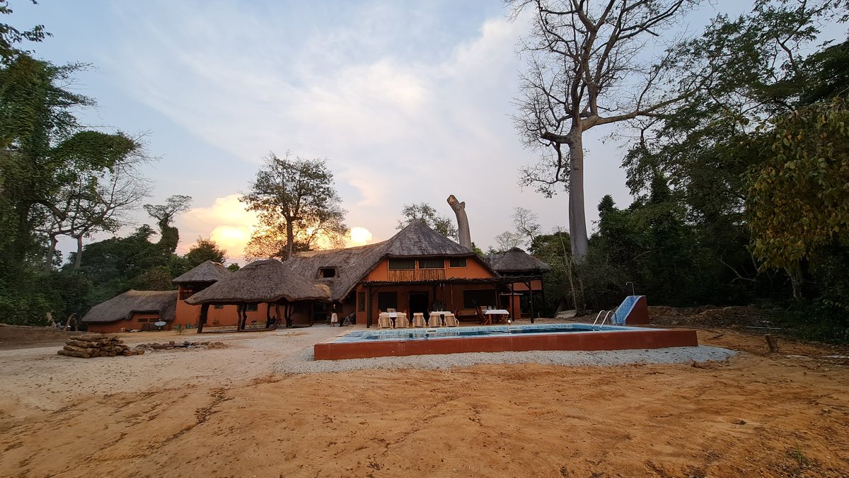 Jobst von Kirchmann tweet media