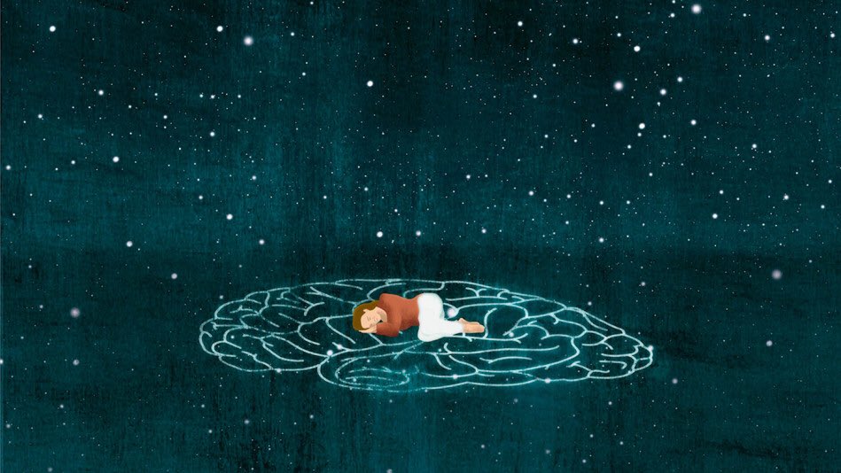 Deep sleep is the end of all kinds of perception (including remembrance and delusion), in which the mind remains in a subtle seed-like form. The test of this is the universal verdict, "I did not know anything then". This negative memory proves the continuity of the mind in sleep