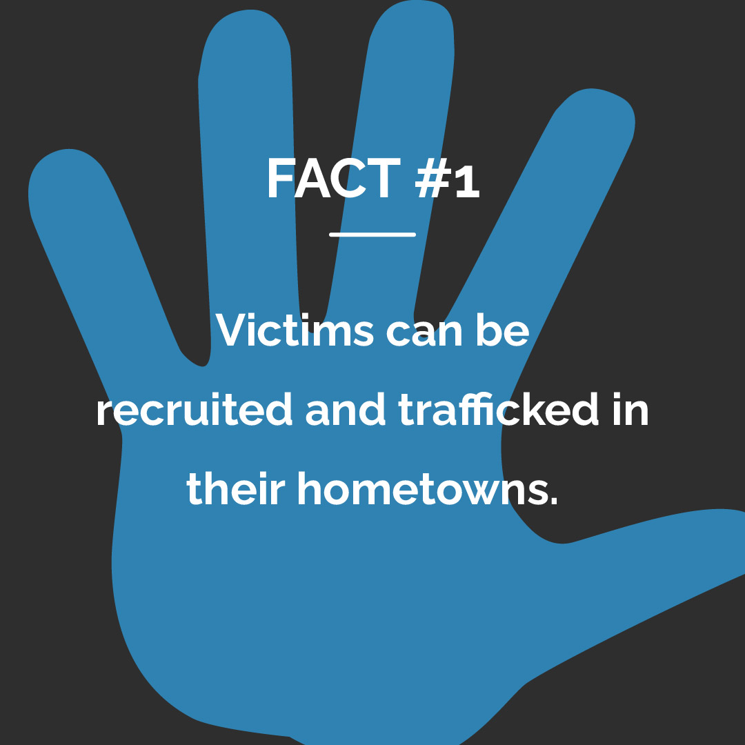 BigRigBanter's tweet photo. Did you know that today is #HumanTraffickingAwarenessDay? Here are 3 facts you might not know about #humantrafficking. If you think you've witnessed human trafficking, please be sure to reach out to the #NationalHumanTraffickingHotline at - 1-888-373-7888.

#HumanRights https://t.co/Gqvg9uK55e