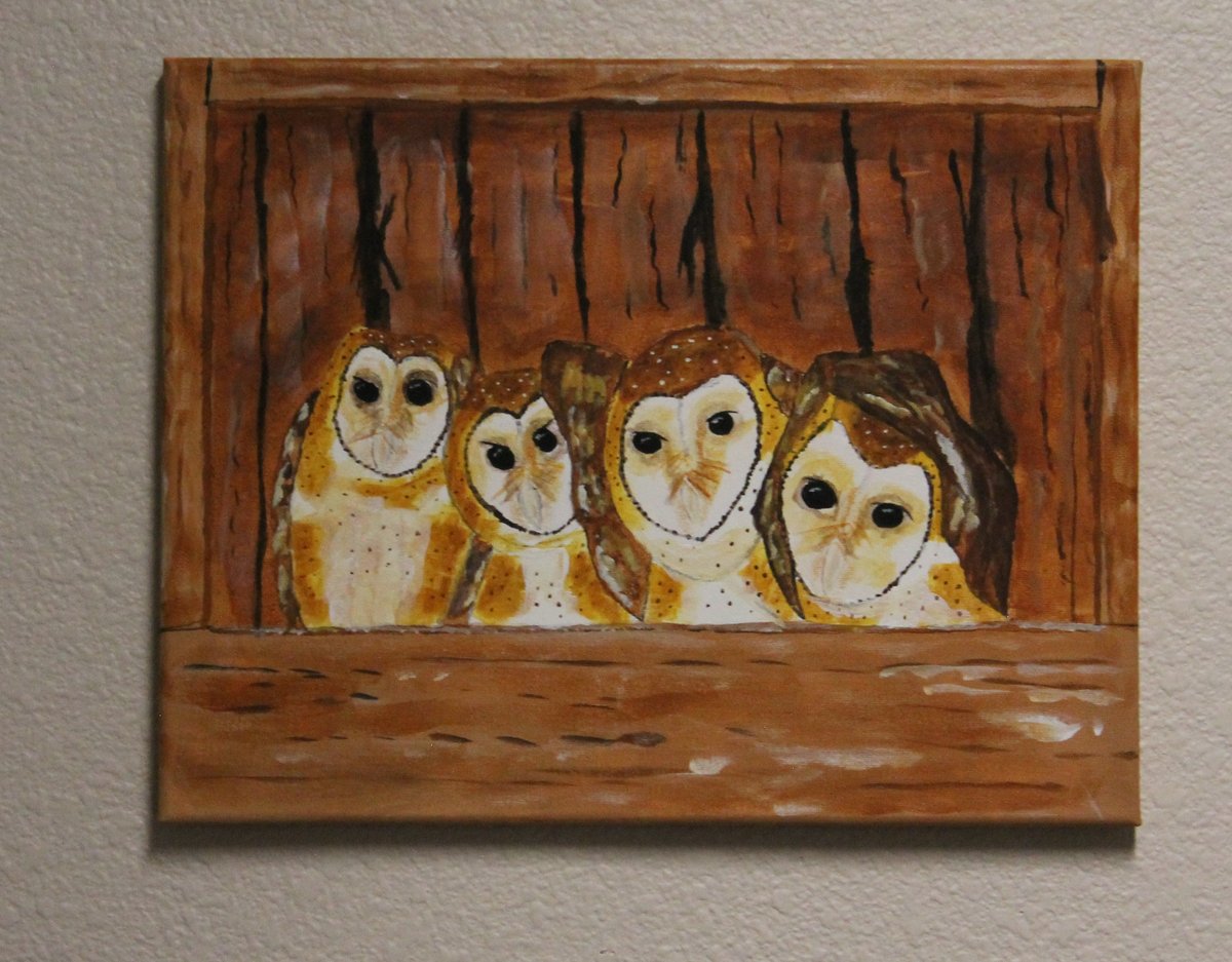 Excited to share the latest addition to my #etsy shop: Siblings 11 x 14 Acrylic on unframed Stretched Canvas of young Barn Owls by Gary Benson etsy.me/3sikZ3i #unframed #entryway #animal #horizontal #stretchedcanvas #barnowlart #barnowlpainting #birdpainting #w