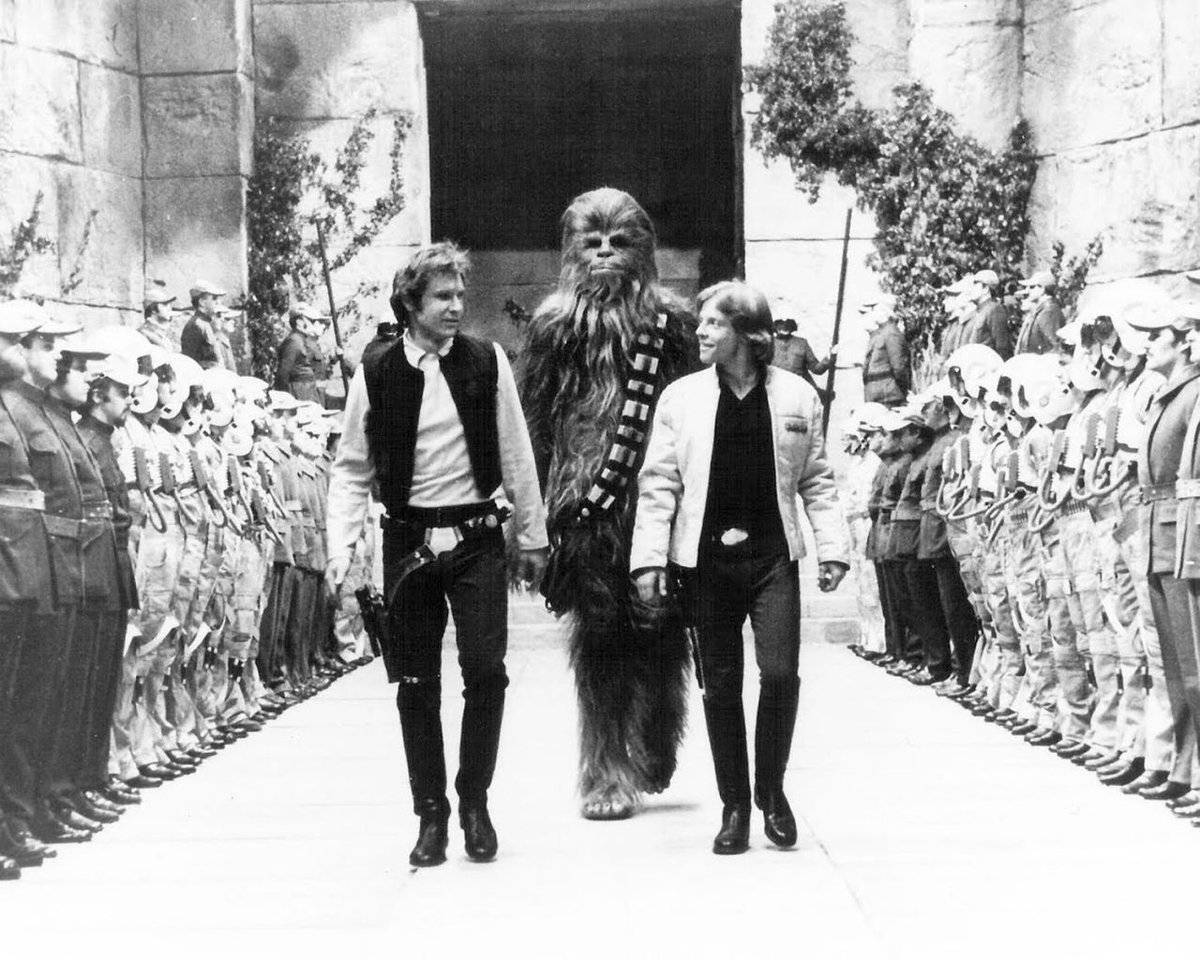 RT @CristiMilla1: Harrison Ford, Peter Mayhew and Mark Hamill.  Star Wars (1977) https://t.co/OSrOaoRfog