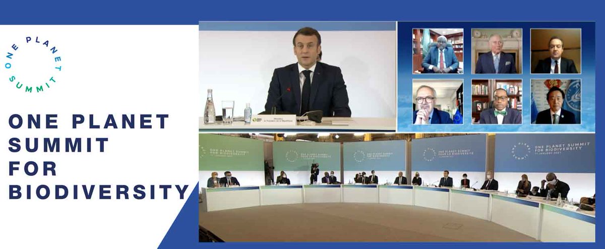 Sahel region: the African Development Bank pledges to mobilise $6.5 Billion in support of the Great Green Wall Initiative bit.ly/3bsIUai