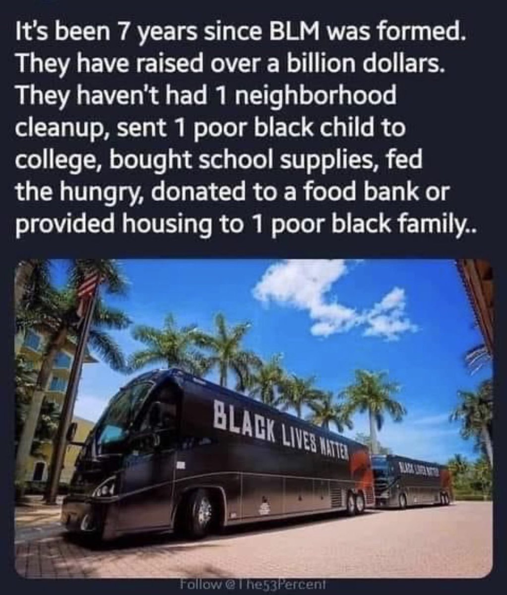 Black Lives Matter - A Hireling Private Army for Democrats. This is what they intend to replace POLICE with ... & they are becoming just as well funded as the US MILITARY.The only difference is - more than half of America has been declared the ENEMY.nothing to see here ....