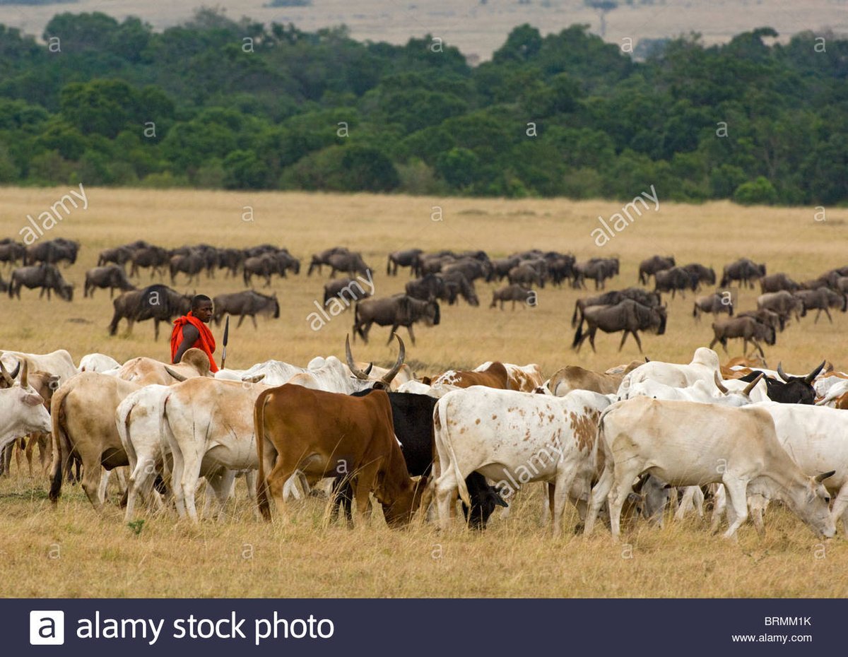 Judge for yourself which is problem to environment & sustainability too, & which best to sustain people with autonomy from these monstrous Corporate greenwashing themselves at WEF, & their diabolical attempt to seize land and resources from farmers & indigenous people to control