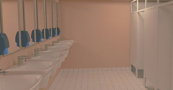 Школьный туалет для девочек. Туалет в школе для девочек. Туалетная комната в школе. Туалет в школе. Туалет в школе для девочек.