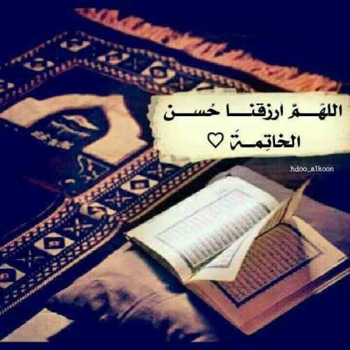 Om Khalid 🇰🇼 tweet media