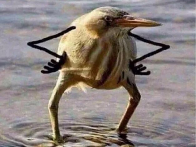 I was about to post something to my free OF but isn&rsquo;t working https://t.co/nPcVNXngAr