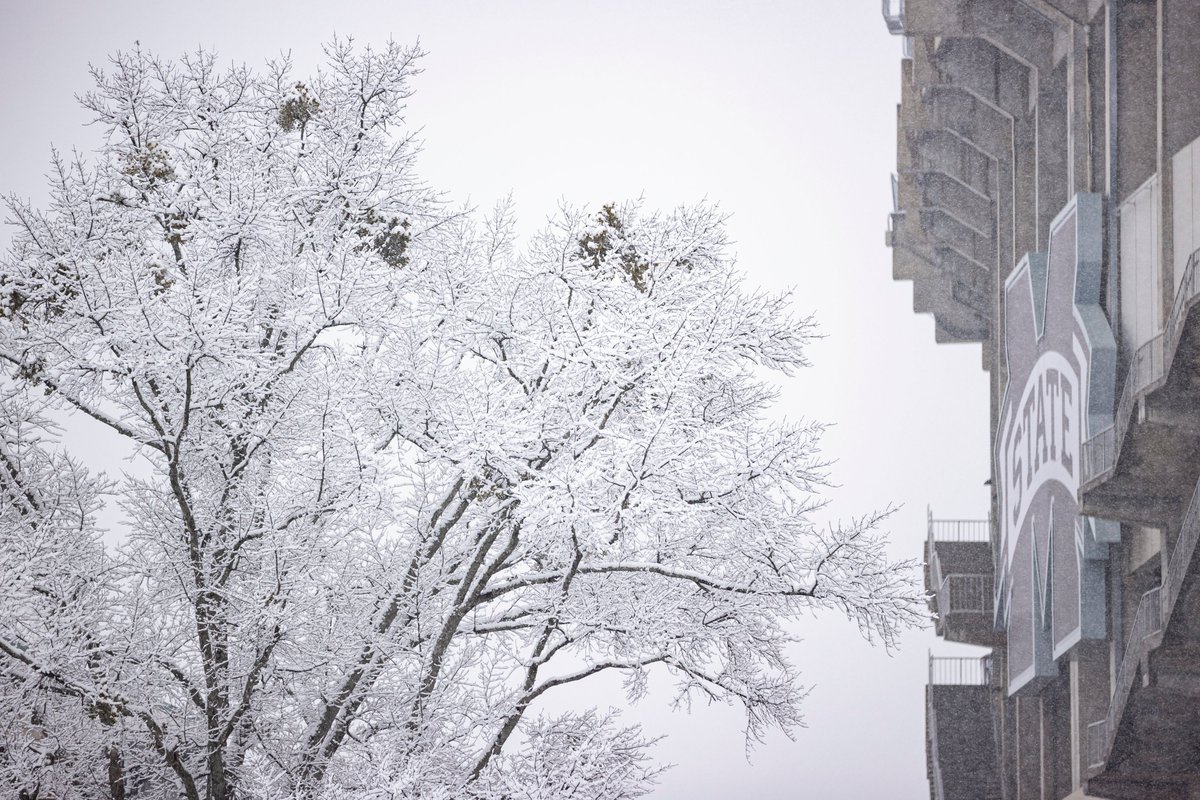 #StarkVegas ❄️ Day 😍

📸: hailst.at/SnowDay2021

#HailState🐶