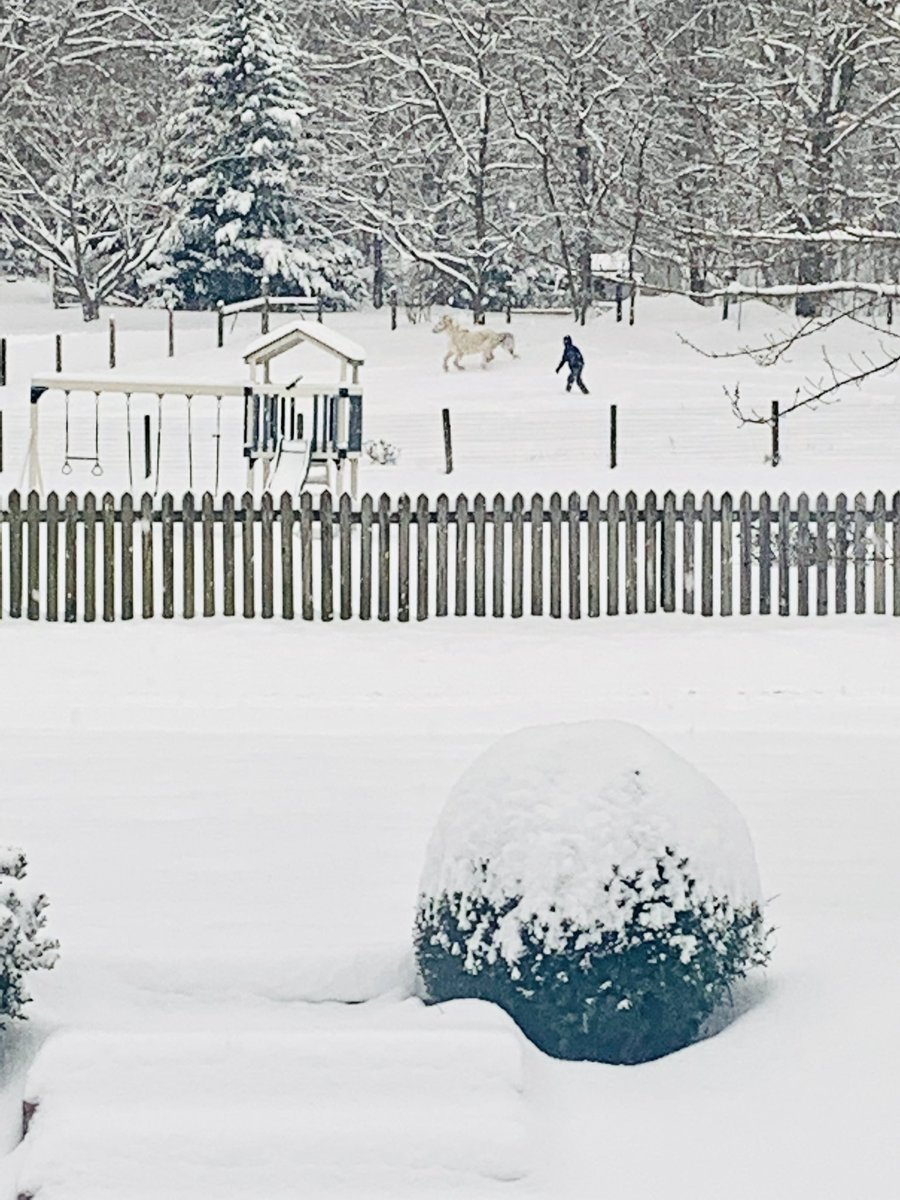 En colloquium novissimum, in quo plura de equo ignoto dicuntur necnon de foraminibus terrestribus quae fortasse ad terram australem ducunt. Audite, respondete, sodales! quomododicitur.com/2021/01/11/qdp… #loqlat #QDPod165 #LatinteachW