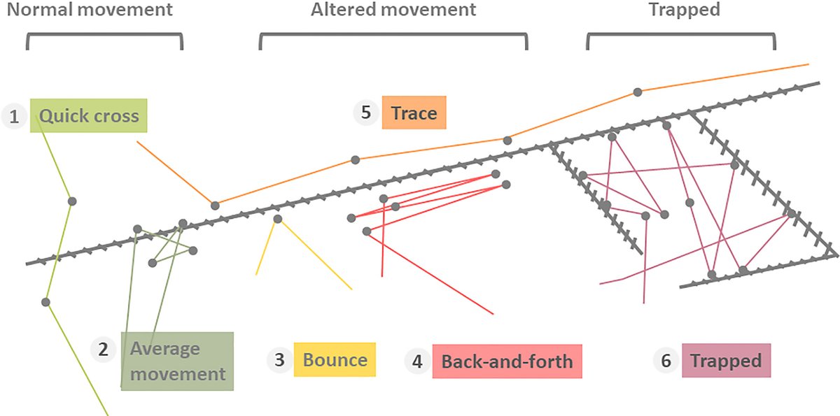 Movement barriers like fences do not only STOP  #AnimalCrossing. They also CHANGE movement behaviors in multiple ways that could affect overall habitat use efficiency, reduce movement benefits, and cause other ecological consequences. More on fence ecology:  http://doi.org/10.1093/biosci/biaa103