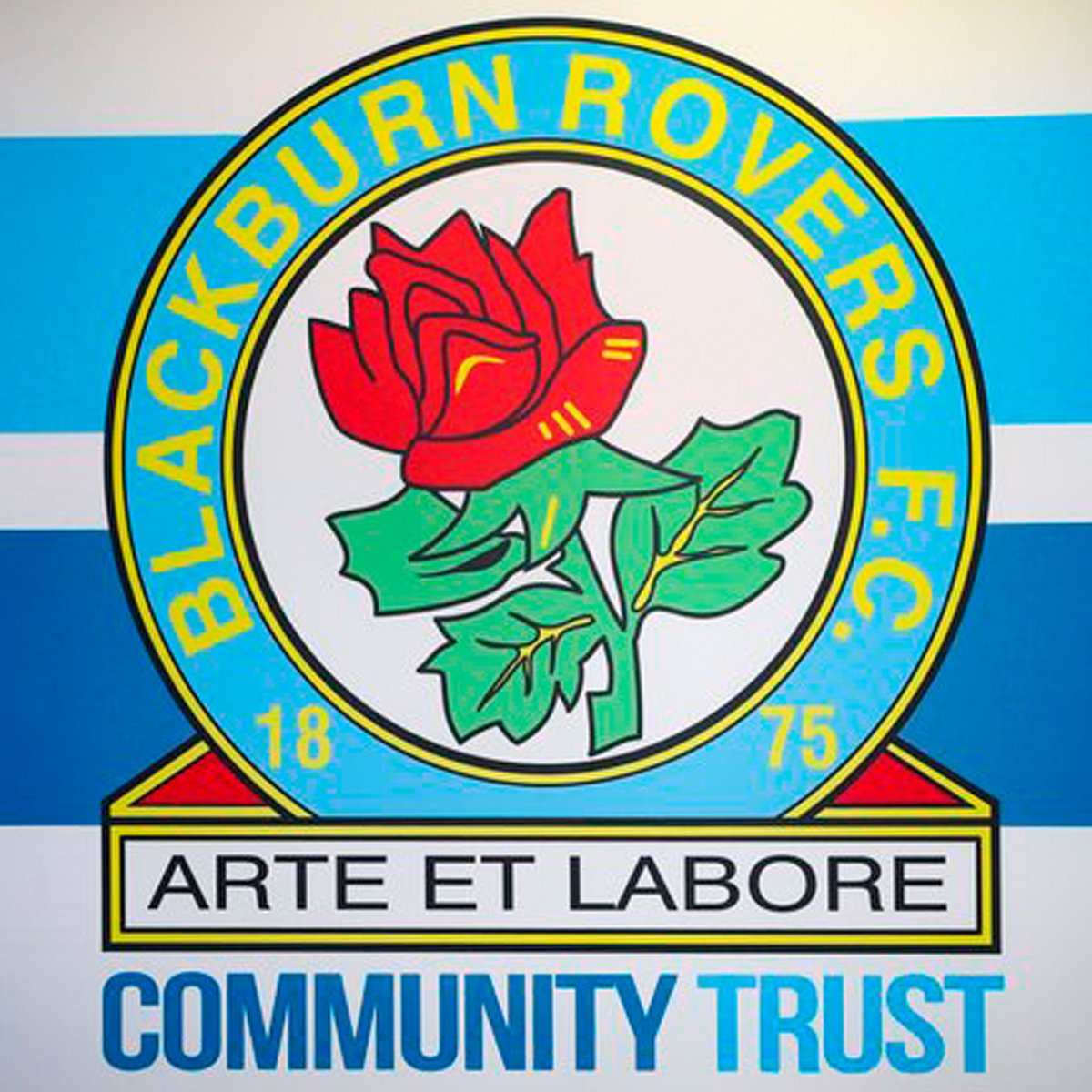 Rovers's tweet photo. Operated by trained and friendly @BRFCTrust staff, our community hub testing centre provides a safe environment to be tested with no appointments necessary.
#WeAreTogether π΅βͺοΈ https://t.co/pq0F7Dy0Ib