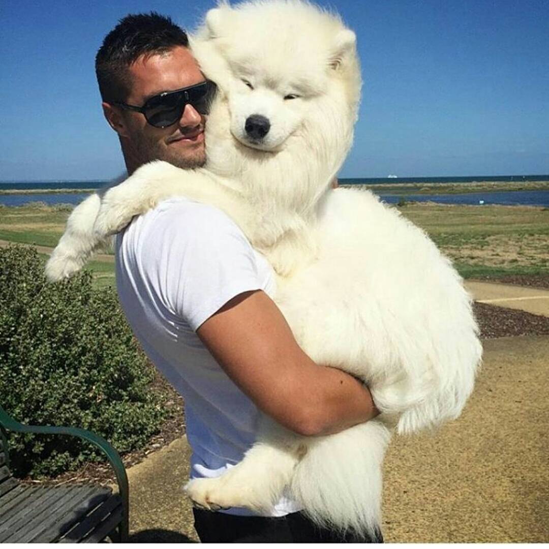 DoggyDogthings's tweet photo. So much fluff!

#puppylove #pupsofinstagram #puppy #puppies #dogs #dogsofinstagr

.
 be sure to follow @DoggyDogthings for the best doggydog content #cutepuppy https://t.co/yRCAG7mY2D