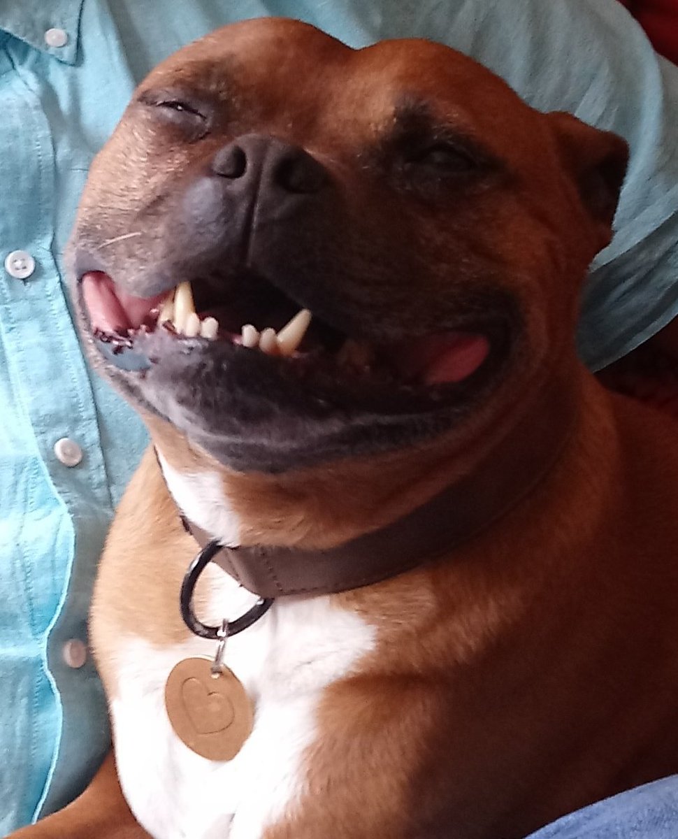 Becca 🇬🇧🇺🇸 tweet media