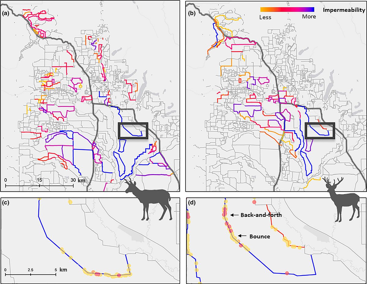  #conservation We developed a method (BaBA) to identify and classify animal movement change upon encountering barriers in order to prioritize resources for fence modification and removal. Package available at  http://github.com/wx-ecology/BaBA 