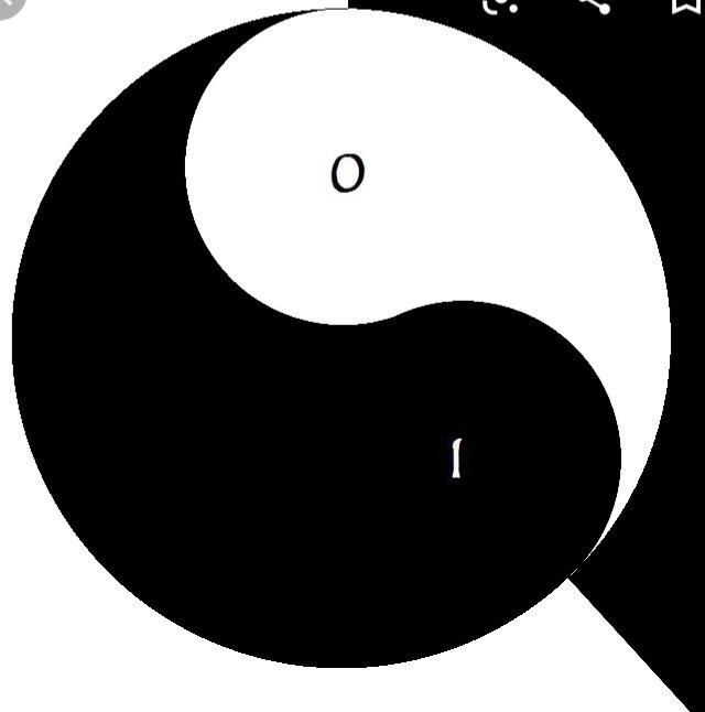 Here is the Golden Spiral & the Perfect Proportions of the Yin and Yang Symbol. The Positive & Negative, One & The None (Zero), Male & Female. What if the Sacred Geometry we are shown is the Esoteric Concepts, the Basic, Simplified Concepts, while the Exoteric Remains Hidden.