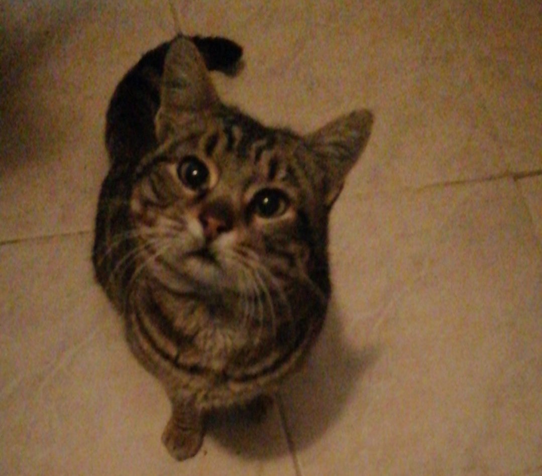 Masumiyetin aşkına bir mama... 
#BuMamaBenden