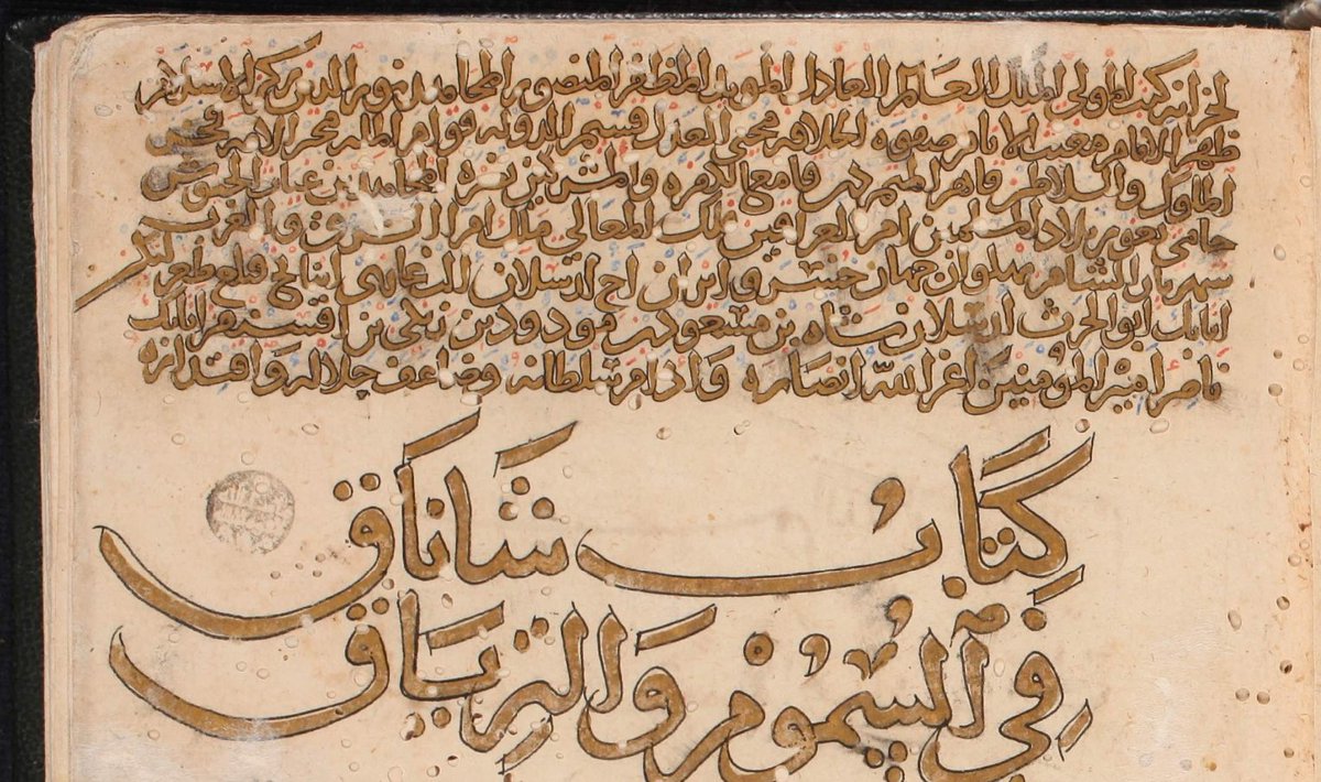 Paper was a hit! It was much cheaper to produce than parchment and--paired with the thriving economy of the caliphate--enabled a massive surge in scholarly production for many centuries. The vast majority of Islamic manuscripts are written on paper. -jm