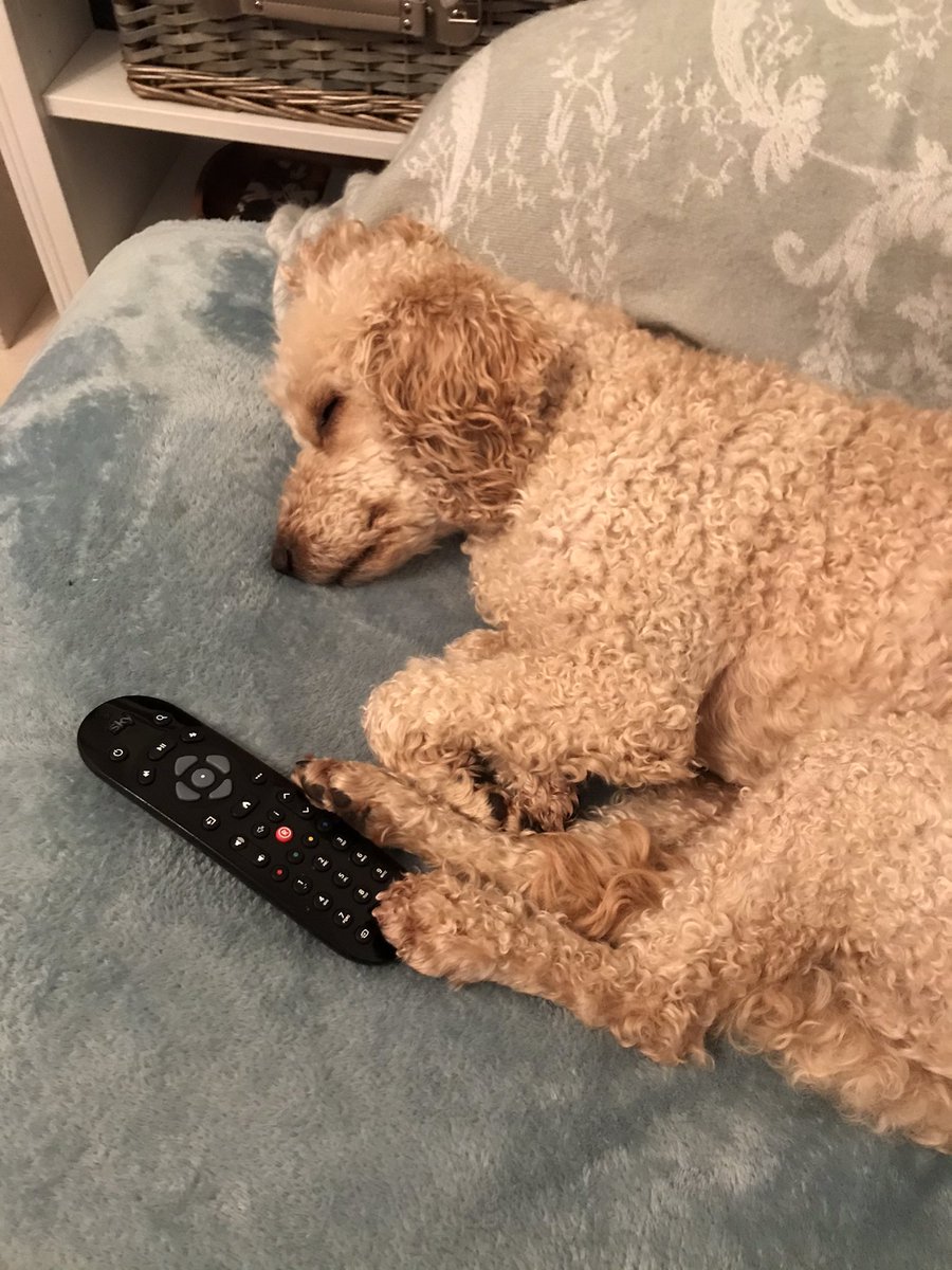 auntiebubble8's tweet photo. @VictoriaCoren So sorry Only Connect really wasn’t doing it for some of us tonight https://t.co/FGu0YWAbFO