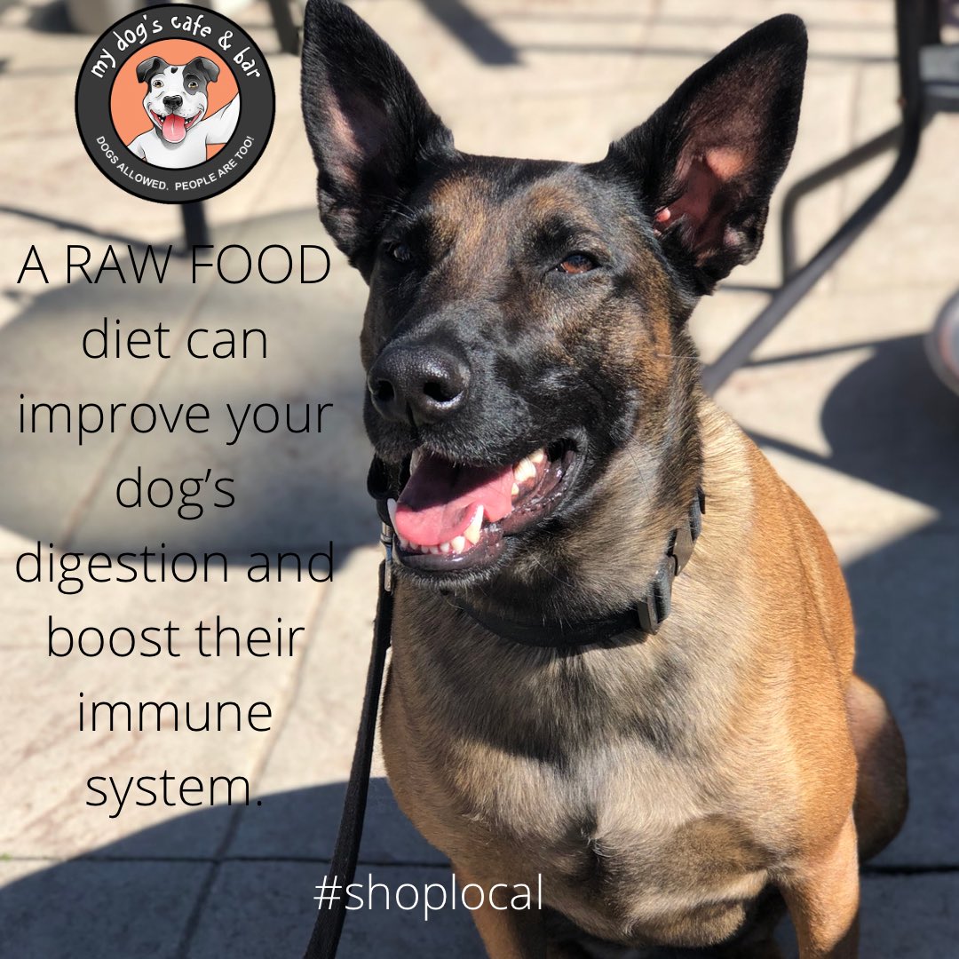 DogCafeLockeSt's tweet photo. Thinking about switching your dog’s food?  #rawdogfood #hamont #lockestreetdogcafe #hamilton #byappointment https://t.co/jSc8gDLGo5