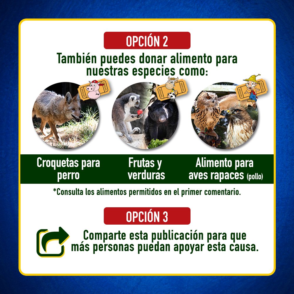 RanchoMagico's tweet photo. ¡Tu ayuda marca la diferencia!

Solicitamos de tu apoyo, ya que la pandemia no sólo afecta a los humanos, también afecta a todas las especies del planeta. 

Te esperamos en nuestra reapertura (fecha por confirmar) 🐯🦁🐮🐷🐰🦉🐴🐐🦌 https://t.co/4TPN4IA03b