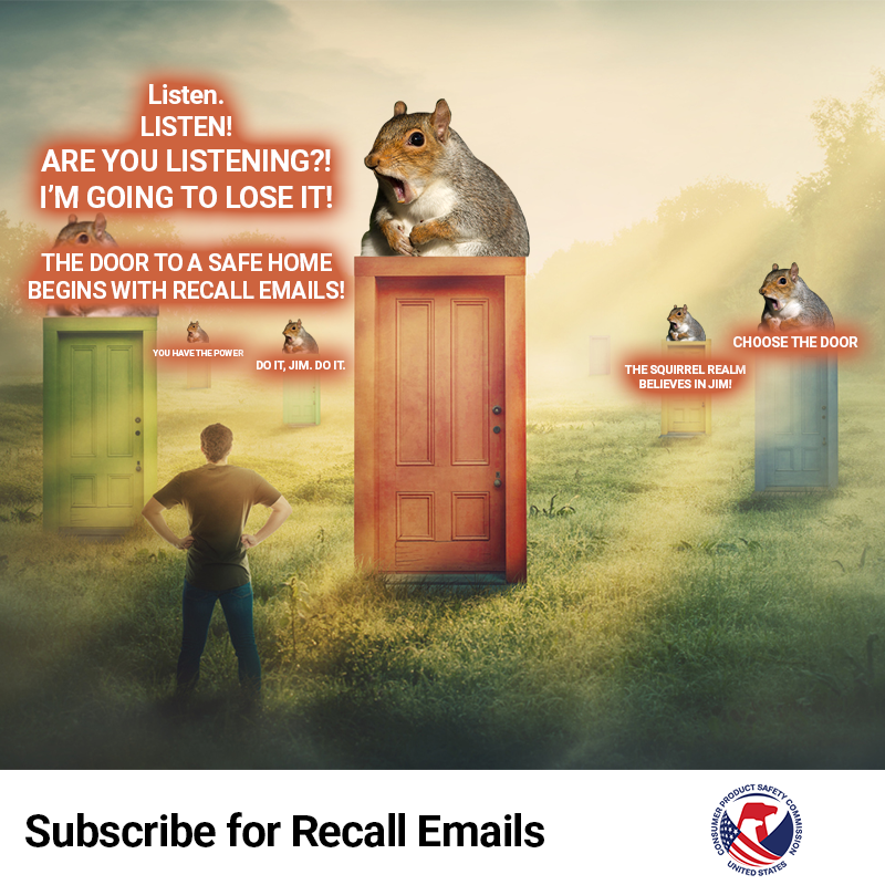 A person looking at a bunch of doors across a field. There are large squirrels on top of each of them. One squirrel is shouting. The text reads: Listen. Listen! Are you listening?! I'm going to lose it! The door to a safe home begins with recall emails!